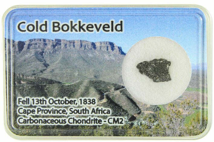 Carbonaceous Chondrite Fragment ( g) - Cold Bokkeveld #285966